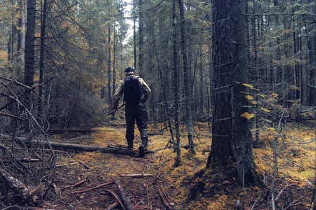 Купить диплом Егеря, лесника в Назрани